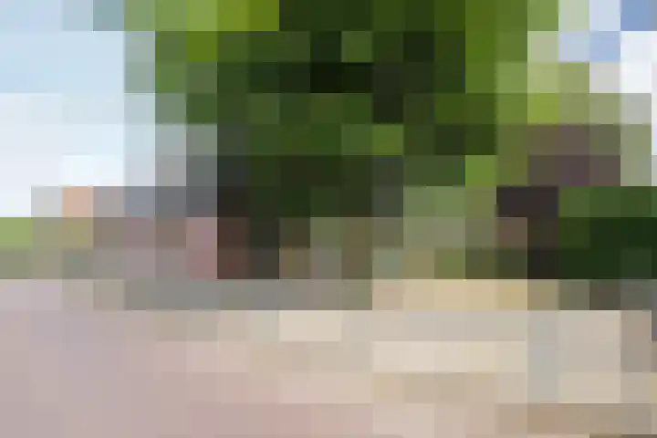 Geerstraat 2 Herwijnen thumbnail 45