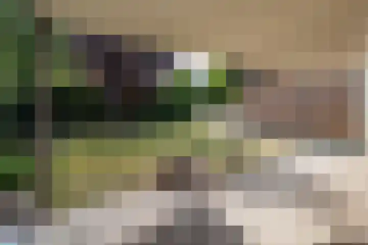 Geerstraat 2 Herwijnen thumbnail 5