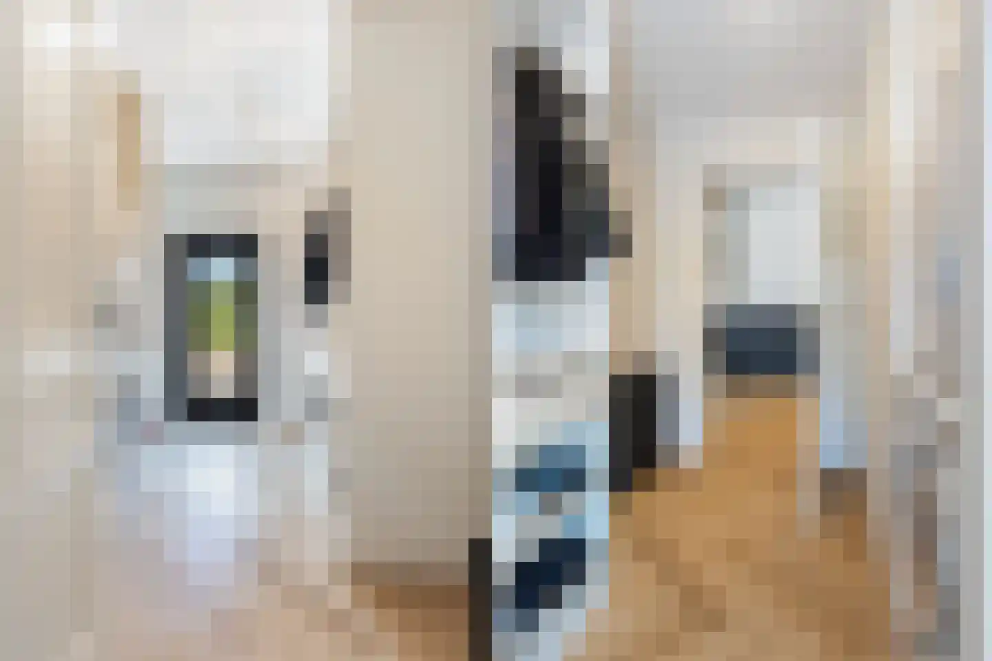 Geerstraat 24 Vaassen thumbnail 19