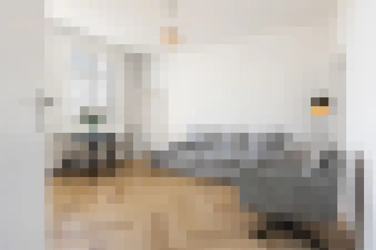 Geerstraat 24 Vaassen thumbnail 22