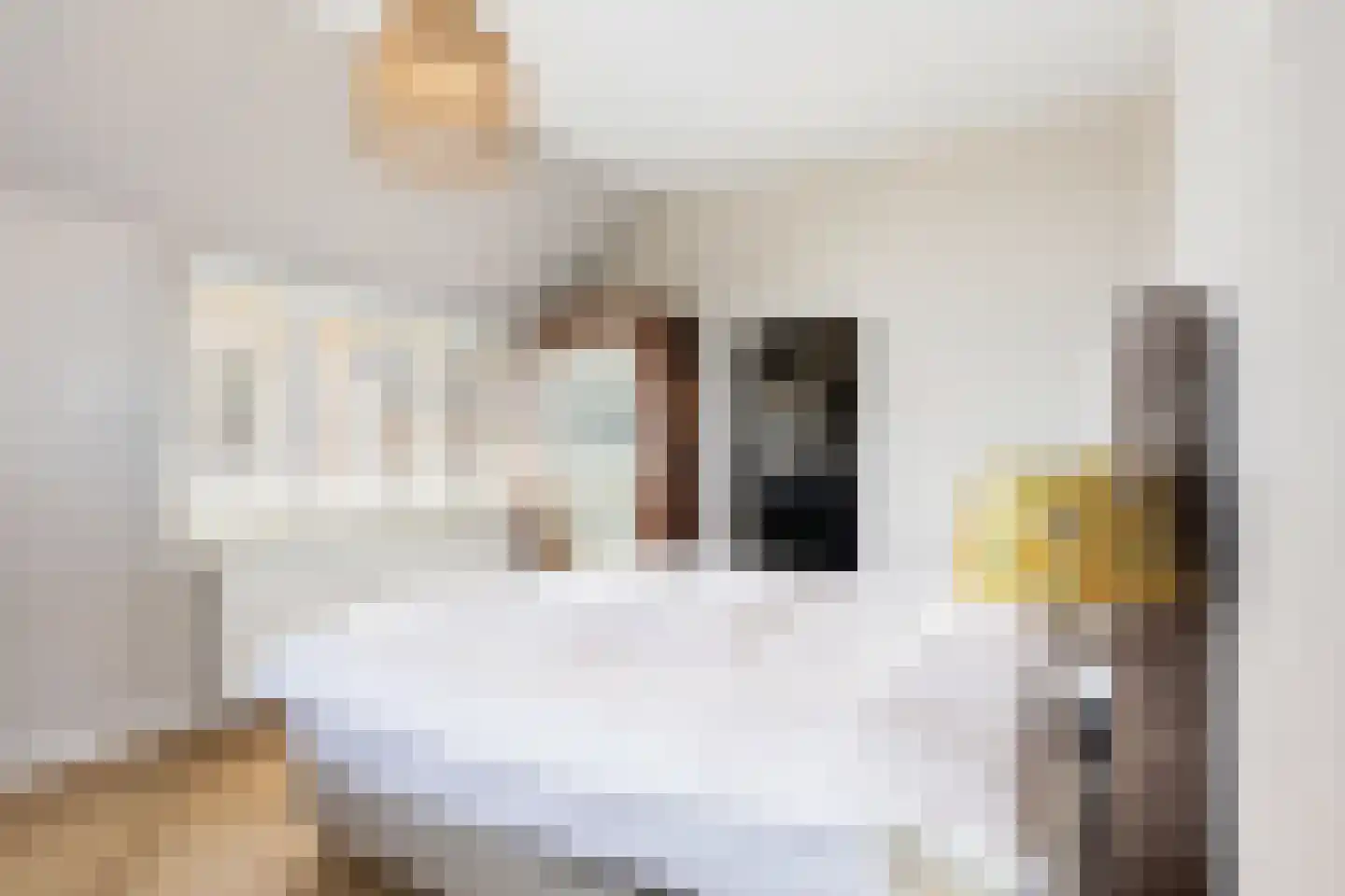 Geerstraat 24 Vaassen thumbnail 28