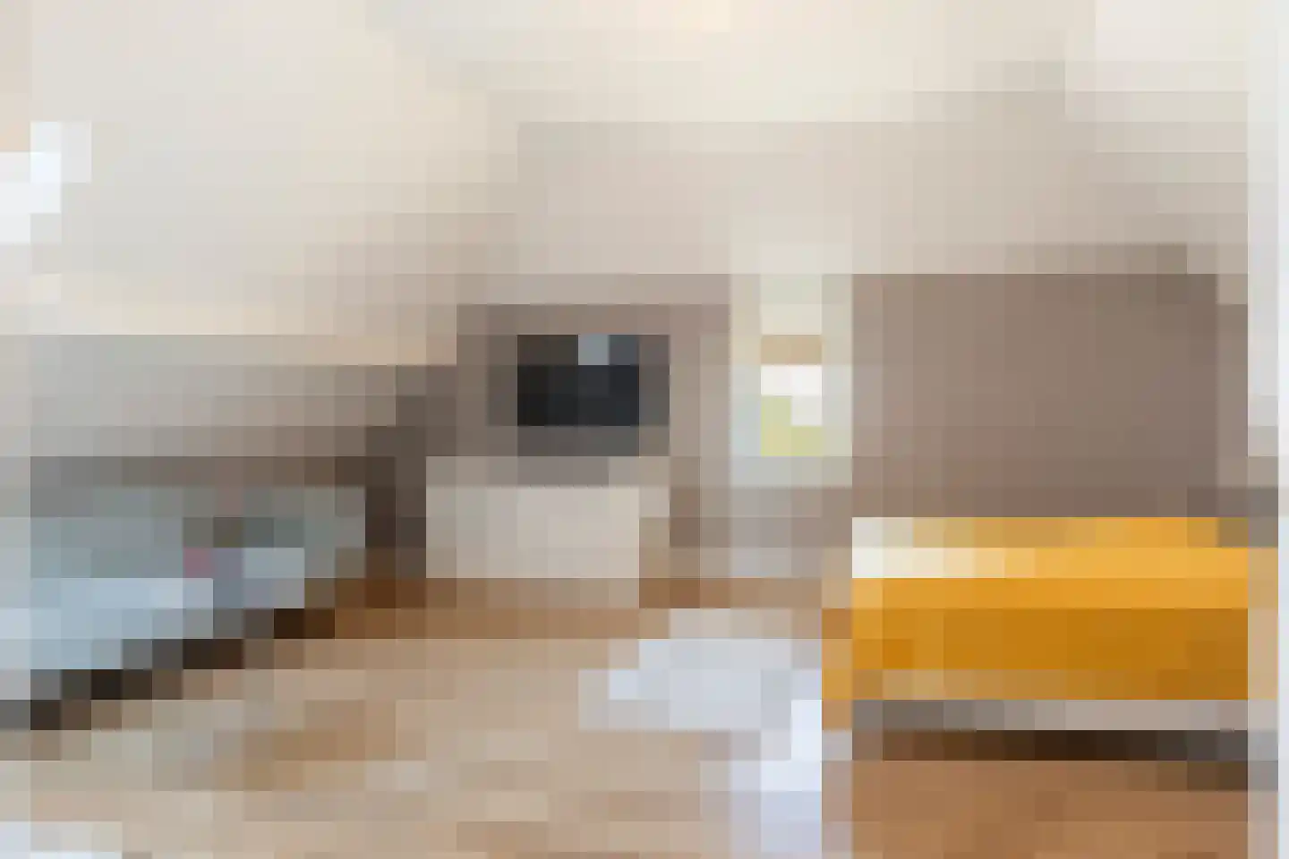 Geerstraat 24 Vaassen thumbnail 34