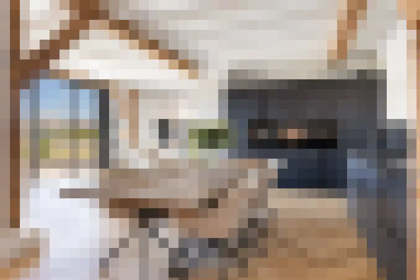Geerstraat 24 Vaassen thumbnail 5