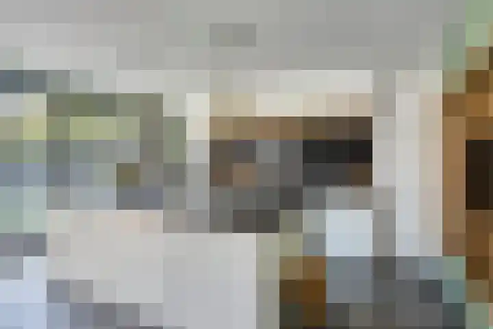 Geerstraat 27 Bergeijk thumbnail 13