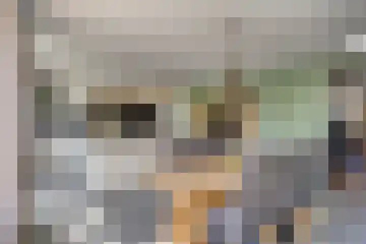 Geerstraat 27 Bergeijk thumbnail 15