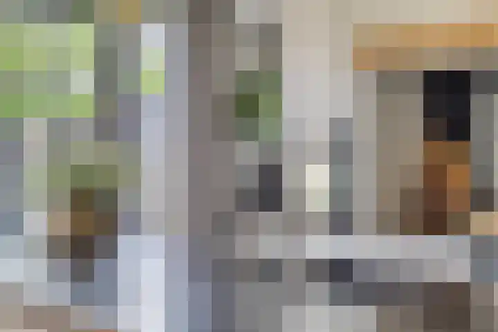 Geerstraat 27 Bergeijk thumbnail 17