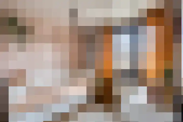 Geerstraat 27 Bergeijk thumbnail 21