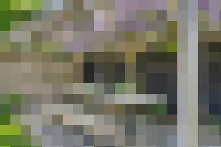 Geerstraat 27 Bergeijk thumbnail 33