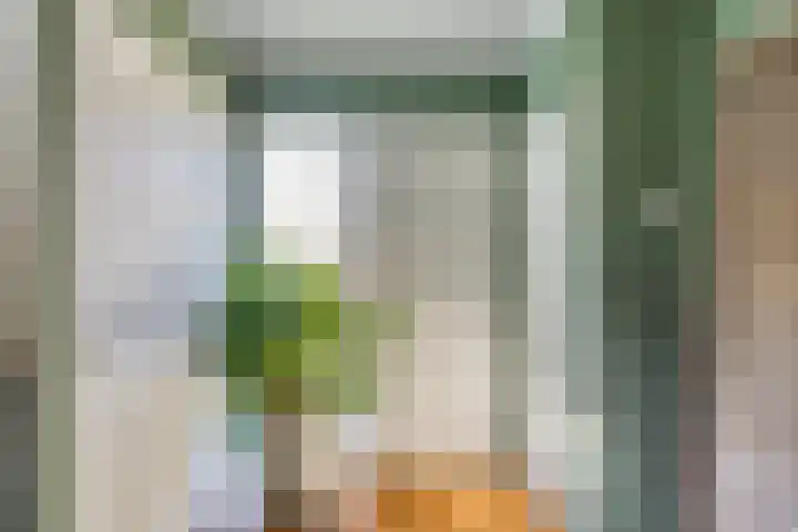 Geerstraat 27 Bergeijk thumbnail 4