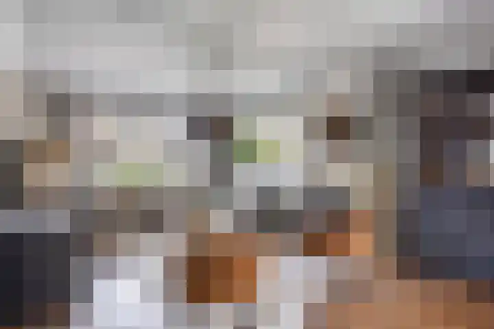 Geerstraat 27 Bergeijk thumbnail 6