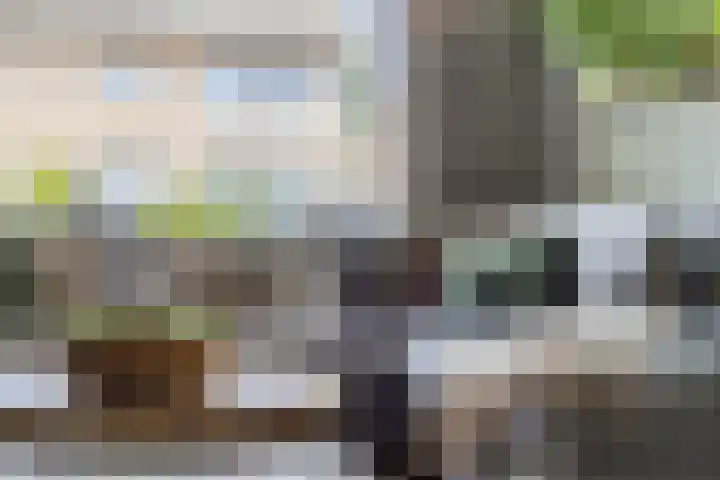 Geerstraat 27 Bergeijk thumbnail 7