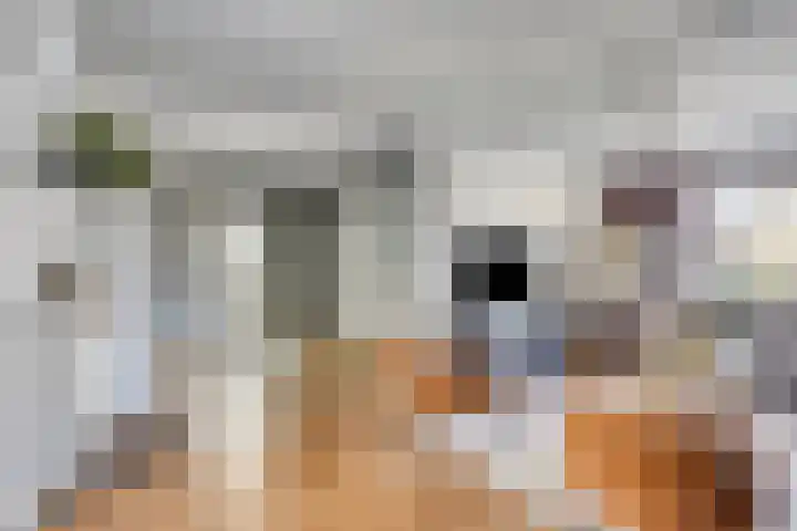 Geerstraat 27 Bergeijk thumbnail 8