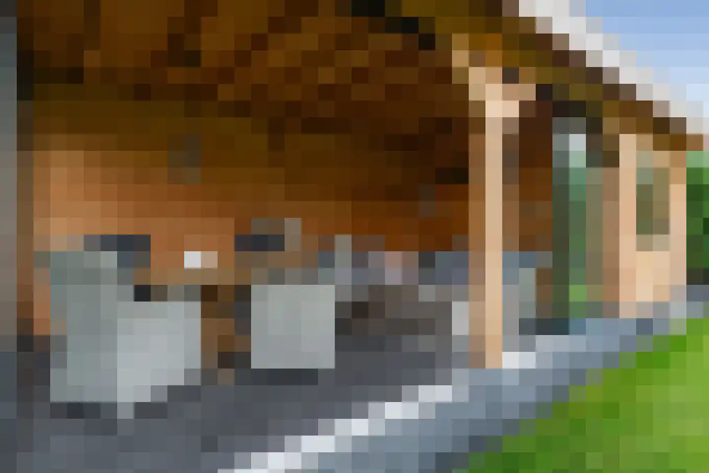 Geerstraat 27 Etten-Leur thumbnail 48