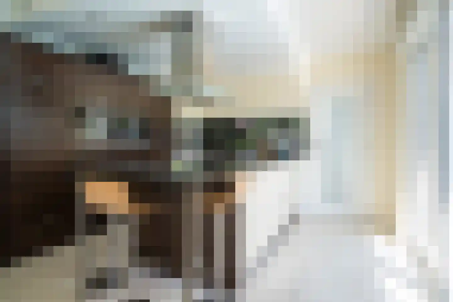 Geerstraat 27 Etten-Leur thumbnail 5