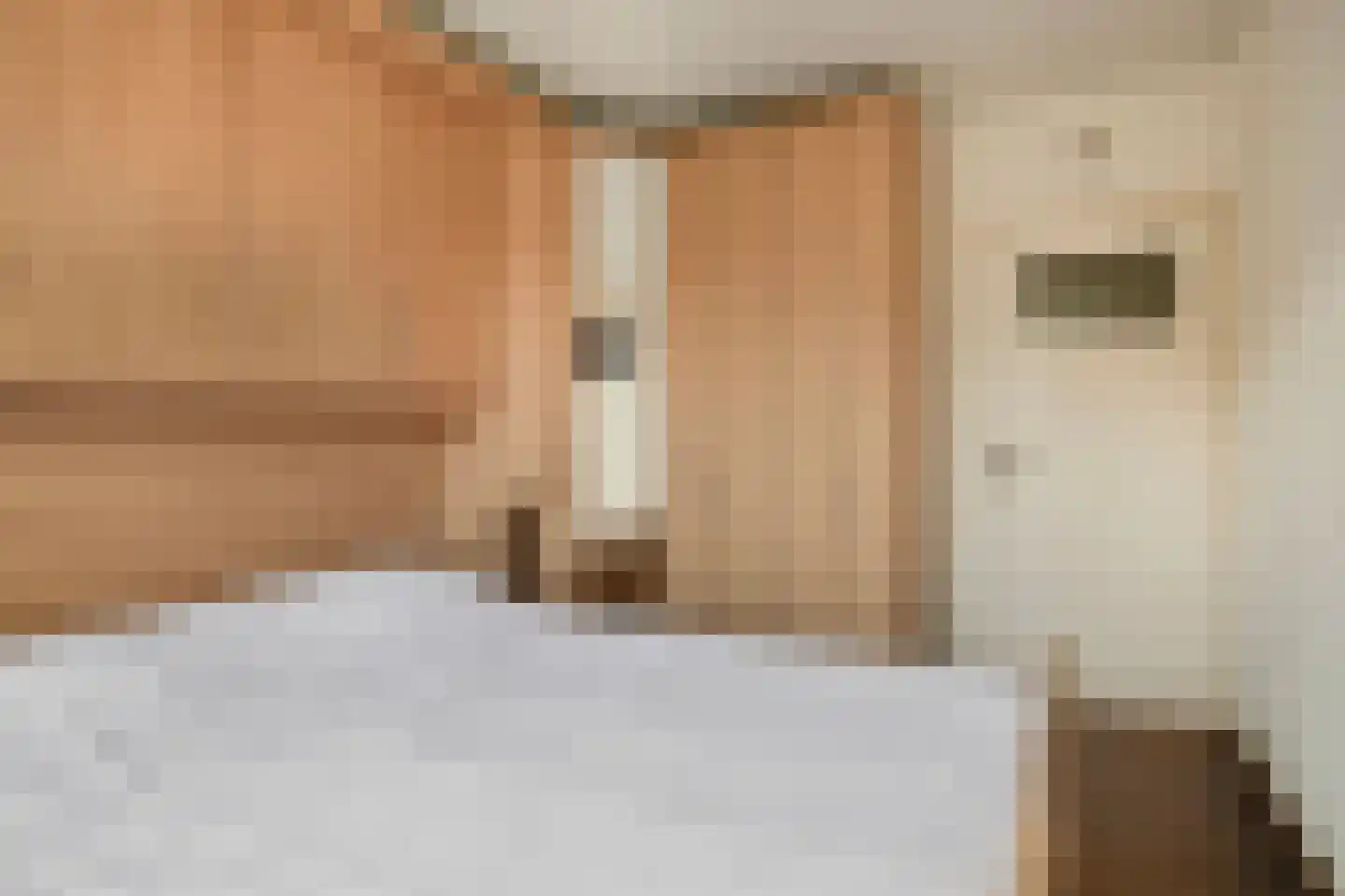 Geerstraat 3 Bergeijk thumbnail 12
