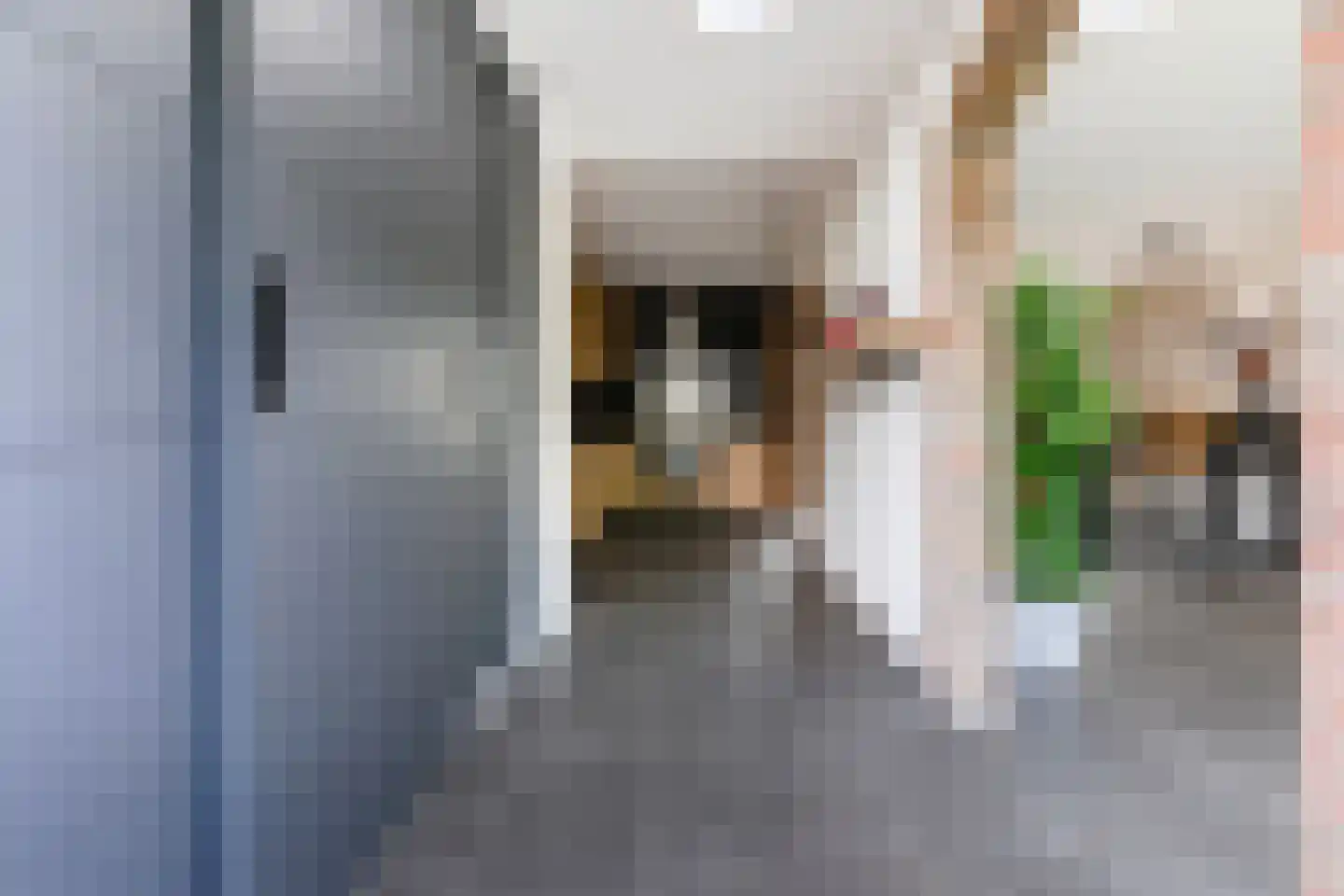 Geerstraat 30 Bergeijk thumbnail 17