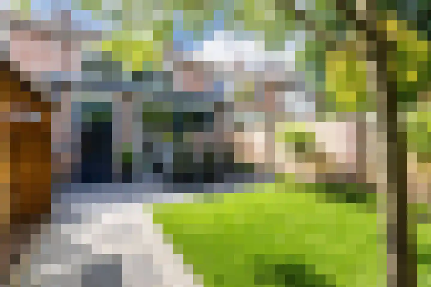 Geerstraat 30 Bergeijk thumbnail 27