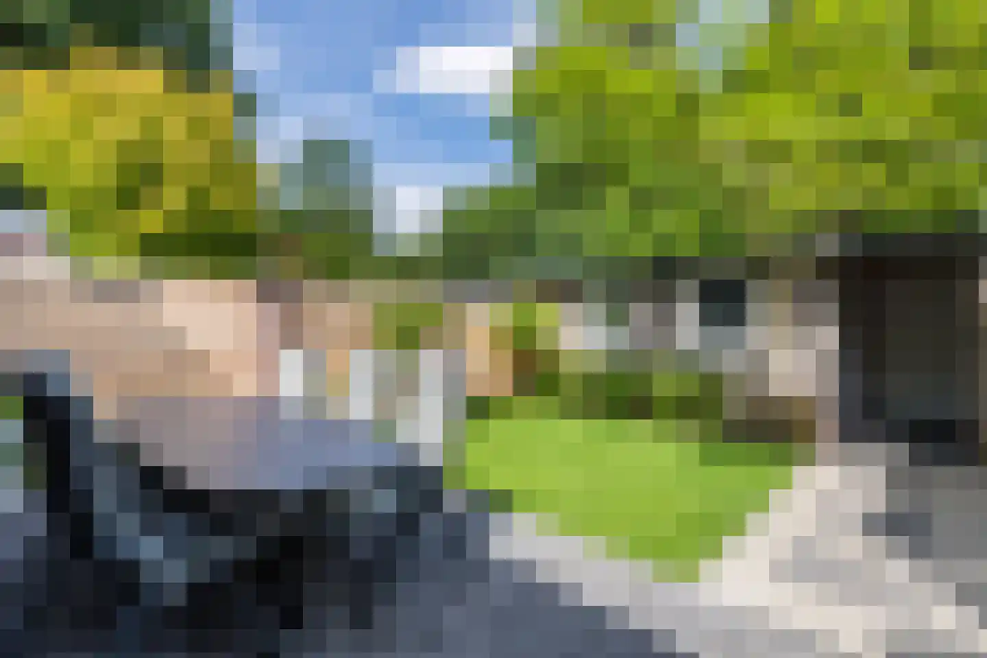 Geerstraat 30 Bergeijk thumbnail 28