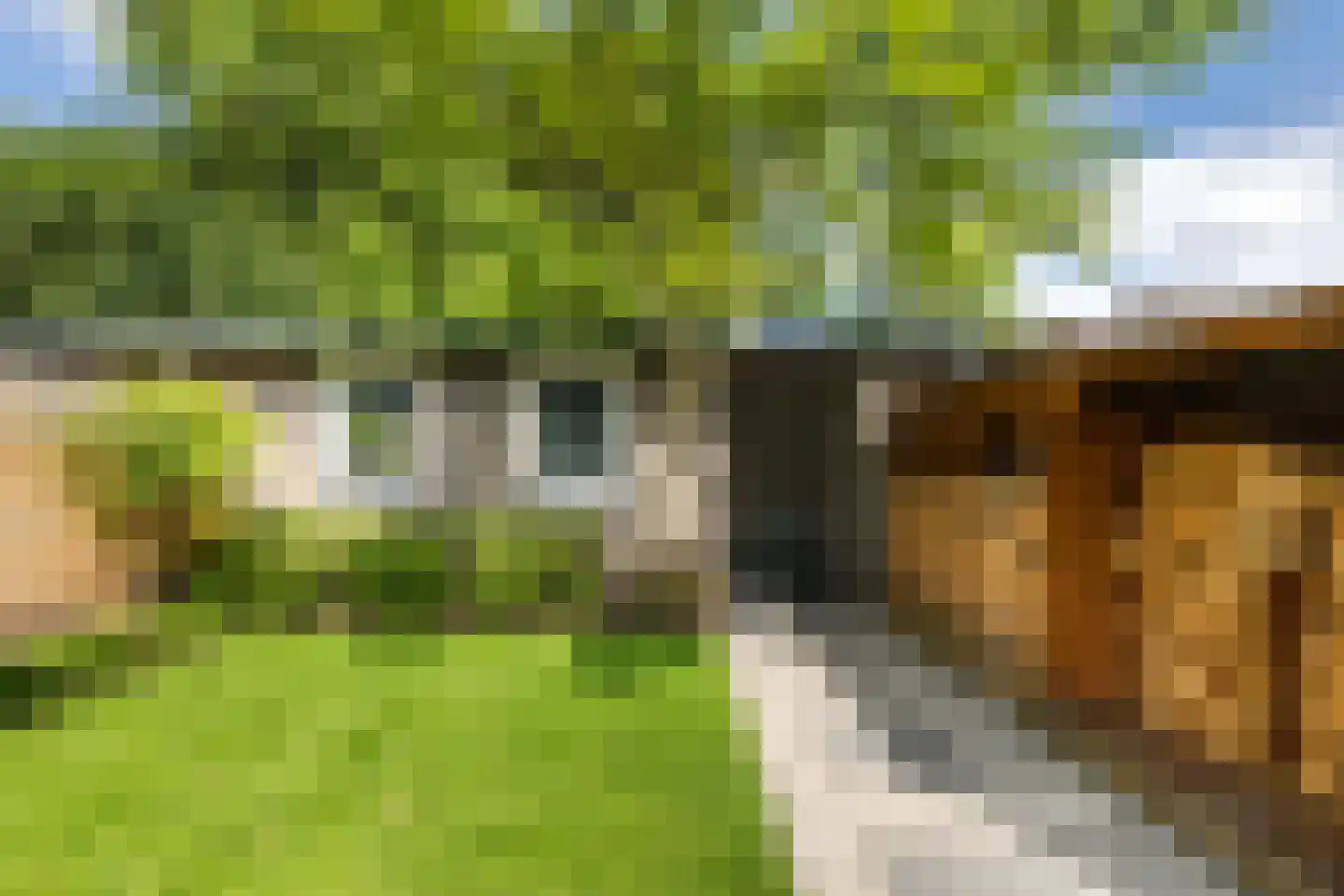 Geerstraat 30 Bergeijk thumbnail 30