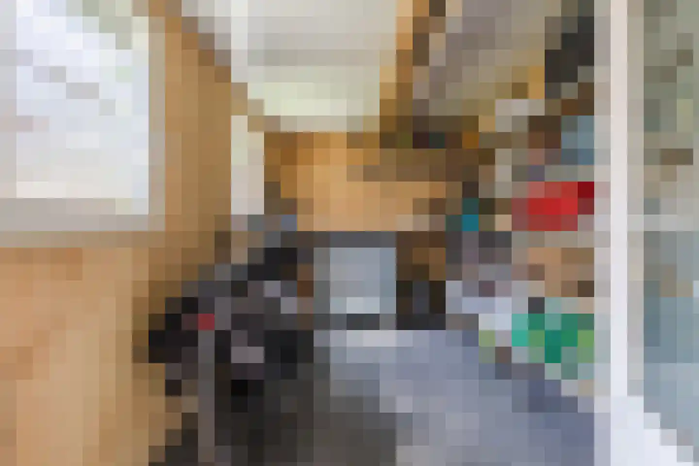 Geerstraat 30 Bergeijk thumbnail 31