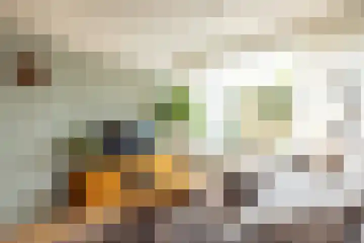 Geerstraat 7 Bingelrade thumbnail 12