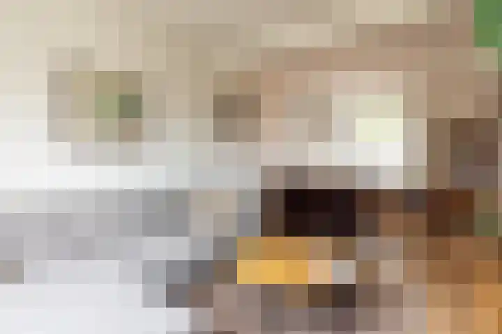 Geerstraat 7 Bingelrade thumbnail 13