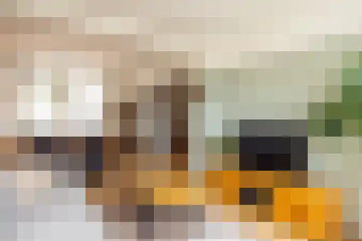 Geerstraat 7 Bingelrade thumbnail 14