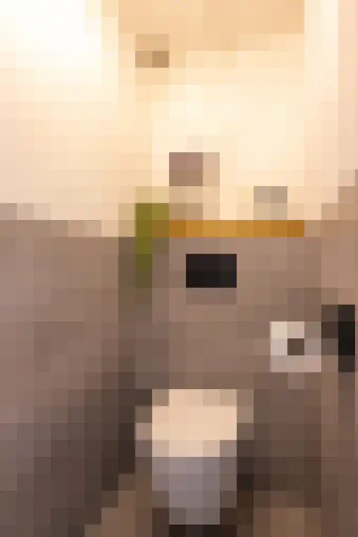 Geerstraat 7 Bingelrade thumbnail 17