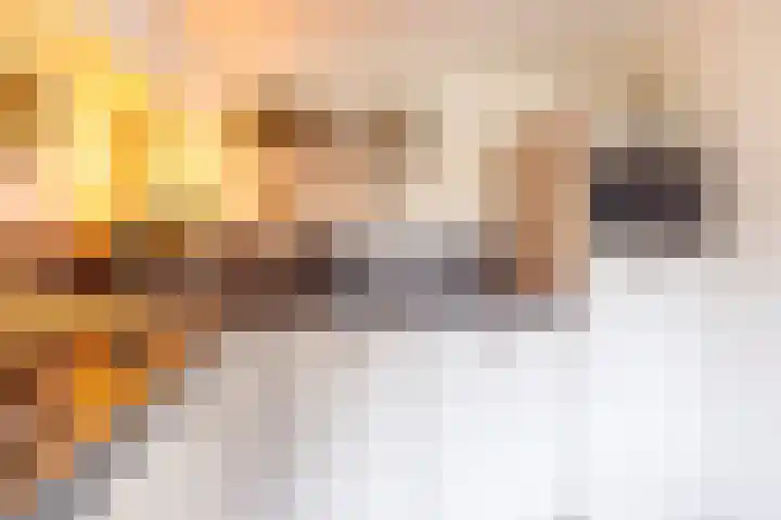 Geerstraat 7 Bingelrade thumbnail 20