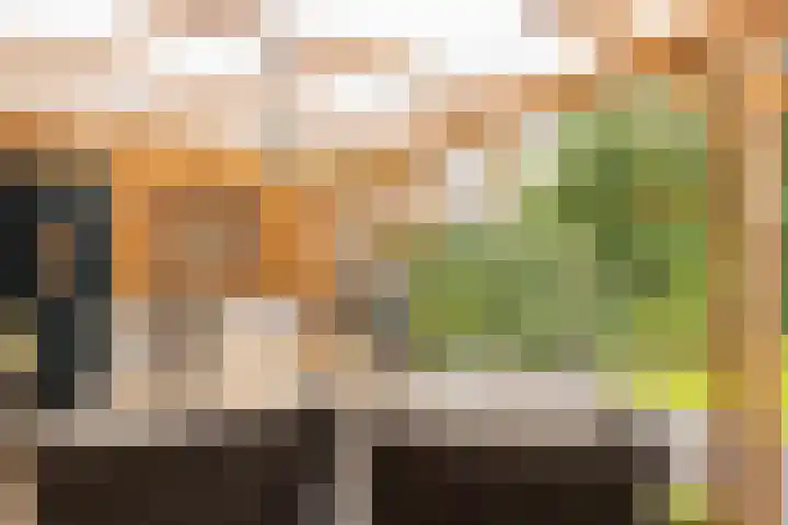 Geerstraat 7 Bingelrade thumbnail 39