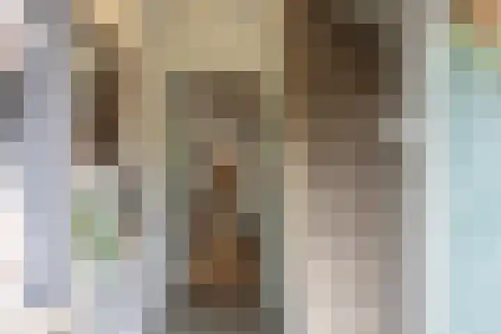 Geerstraat 7 Bingelrade thumbnail 5
