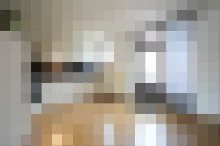 Geerstraat 8 a Bingelrade thumbnail 7