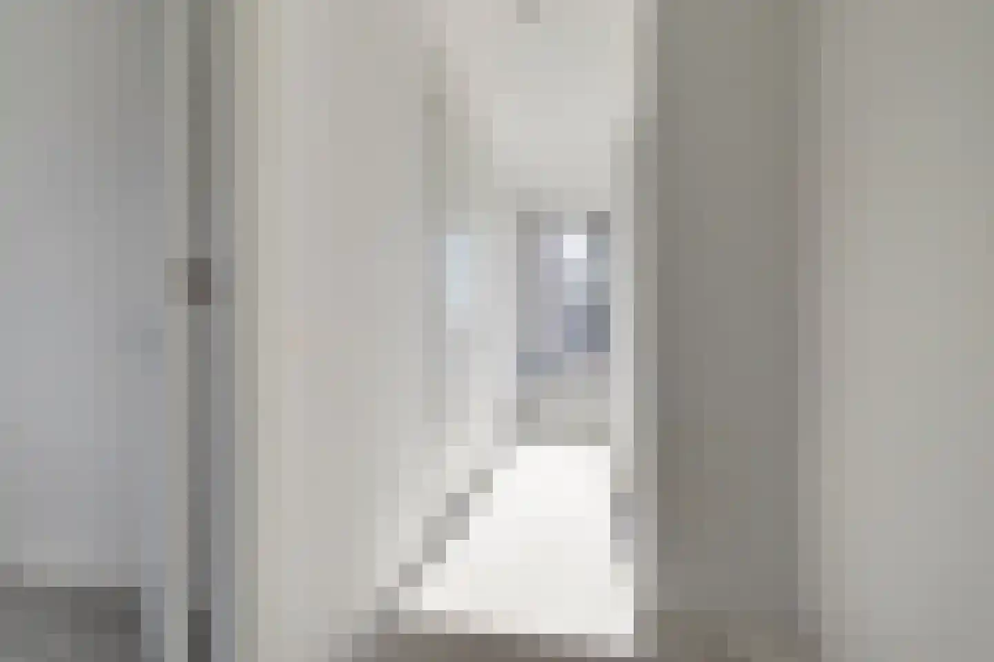 Geerstraat 8 Druten thumbnail 32