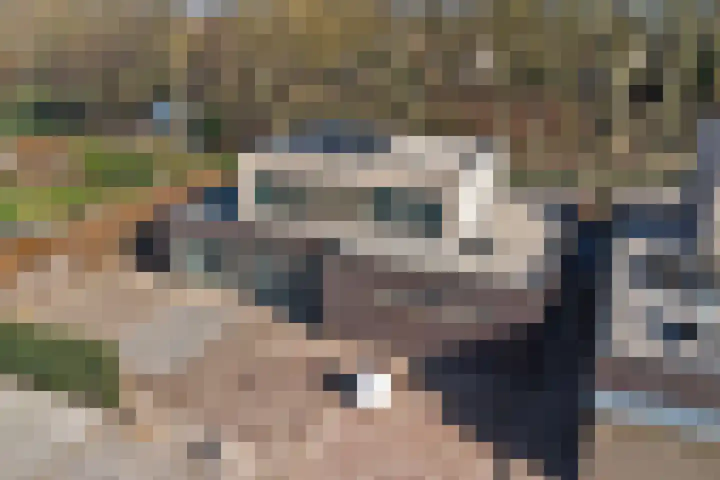 Geerstraat 8 Druten thumbnail 43
