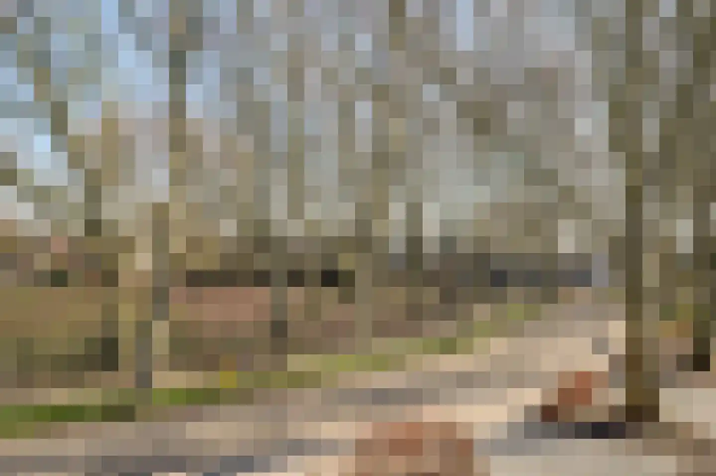 Geerstraat 8 Druten thumbnail 53