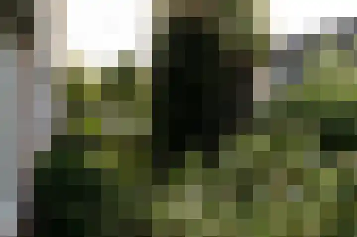 Geerstuk 1 Barneveld thumbnail 10