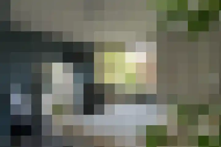 Geerstuk 1 Barneveld thumbnail 37