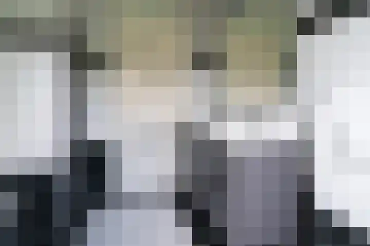 Geerstuk 1 Barneveld thumbnail 47