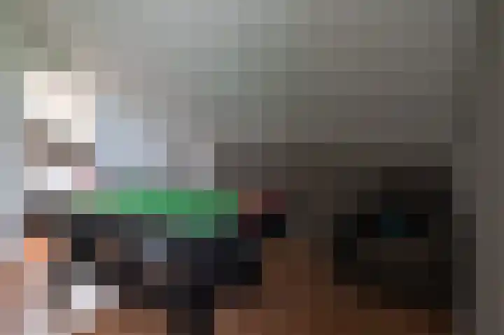Geerstuk 1 Barneveld thumbnail 55