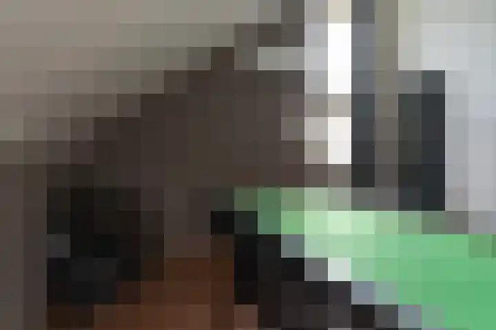 Geerstuk 1 Barneveld thumbnail 56
