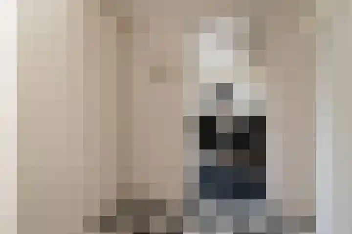 Geerstuk 1 Barneveld thumbnail 60