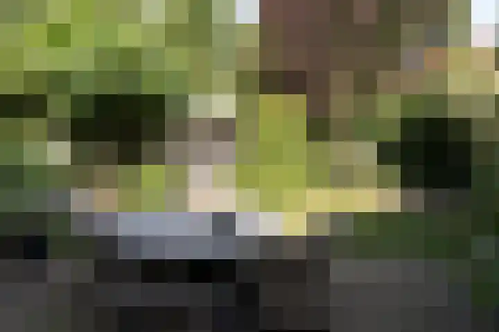 Geerstuk 1 Barneveld thumbnail 65