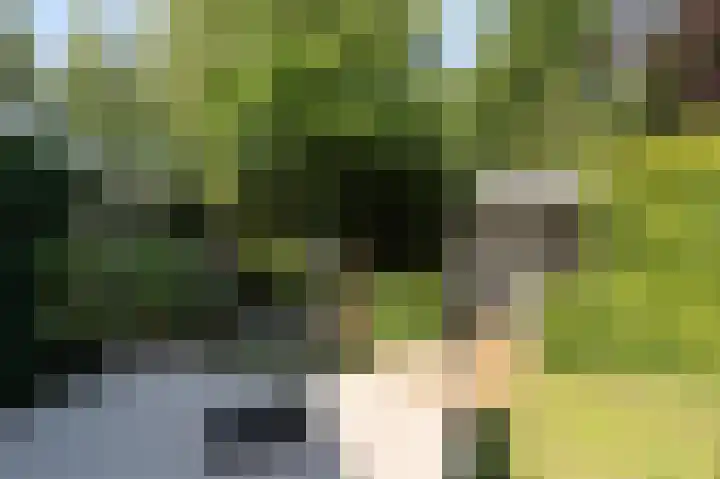 Geerstuk 1 Barneveld thumbnail 66