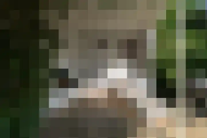 Geerstuk 1 Barneveld thumbnail 67