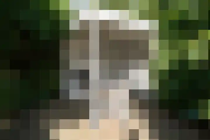 Geerstuk 1 Barneveld thumbnail 68