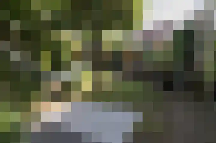 Geerstuk 1 Barneveld thumbnail 69