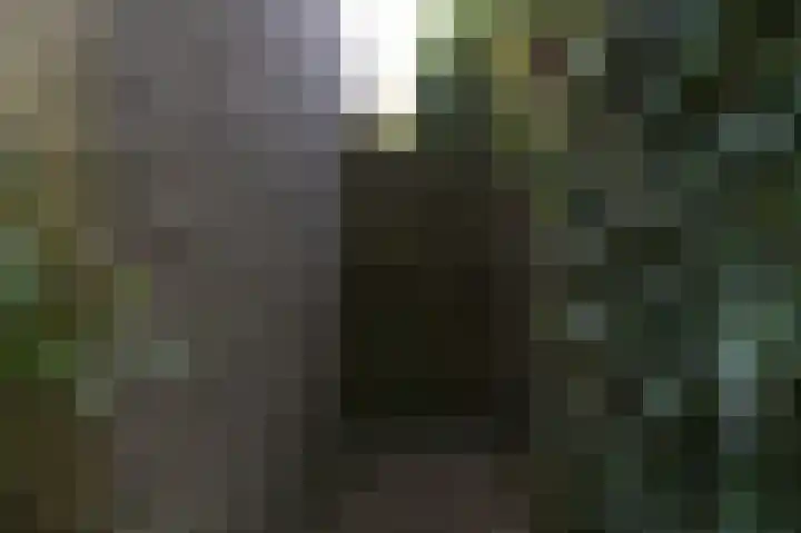 Geerstuk 1 Barneveld thumbnail 72