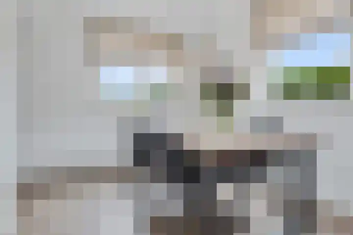 Geerstuk 13 Delfzijl thumbnail 26
