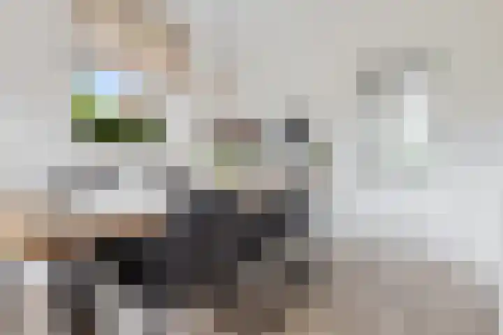 Geerstuk 13 Delfzijl thumbnail 27