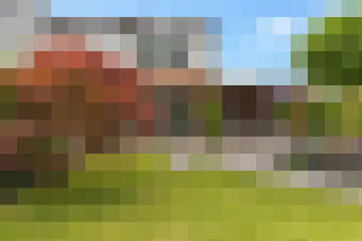Geerstuk 13 Delfzijl thumbnail 48